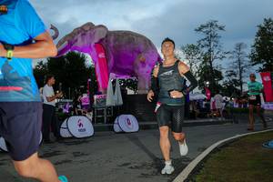 BIB: 
                            <button type="button" onclick="openModal(26529550)" class="btn btn-primary btn-sm float-right btn-popup" data-toggle="modal" data-target=".modal-high-quality">
                        <i class="fas fa-shopping-cart"></i> Add to Cart
                    </button>
                                            <button type="button" onclick="isThisMe(26529550, true)" class="btn btn-success btn-sm float-right btn-popup btn-isme hidden" data-toggle="tooltip" data-placement="bottom" title="นี่คือรูปของคุณใช่ไหม คลิกที่นี่เพื่อเอาเข้าอัลบั้ม">
                        <i class="fas fa-plus"></i> Add to album
                    </button>
                    <button type="button" onclick="isThisMe(26529550, false)" class="btn btn-warning btn-sm float-right btn-popup btn-isnotme hidden">
                        <i class="fas fa-ban"></i> Remove from album
                    </button>